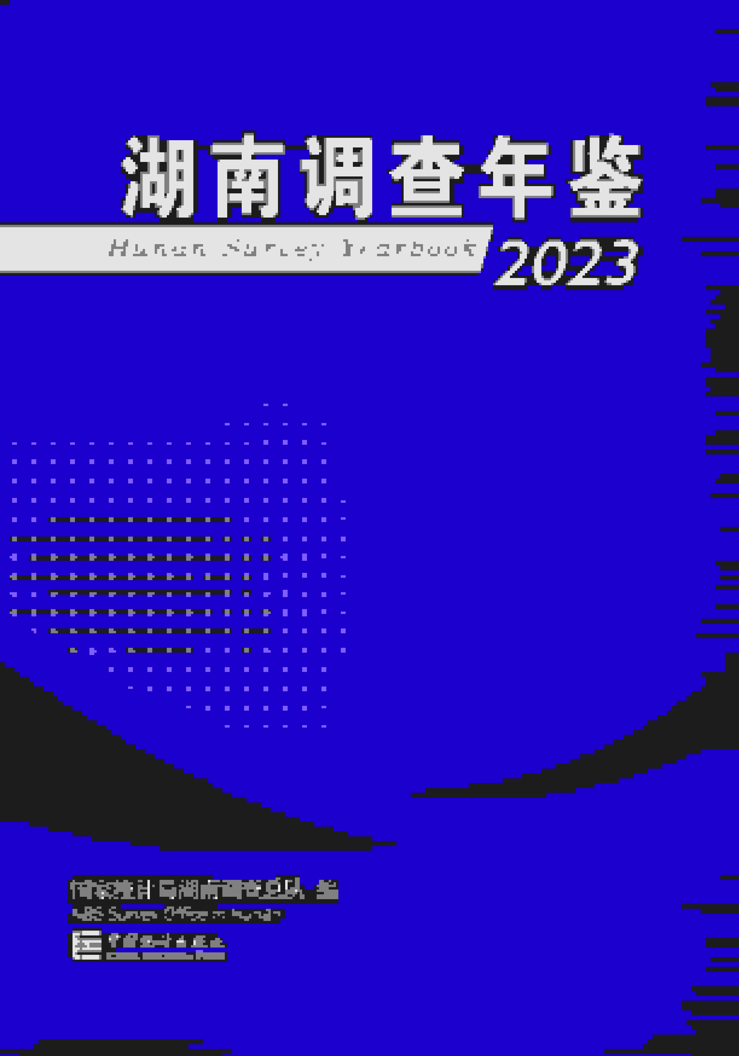 湖南調(diào)查年鑒2023