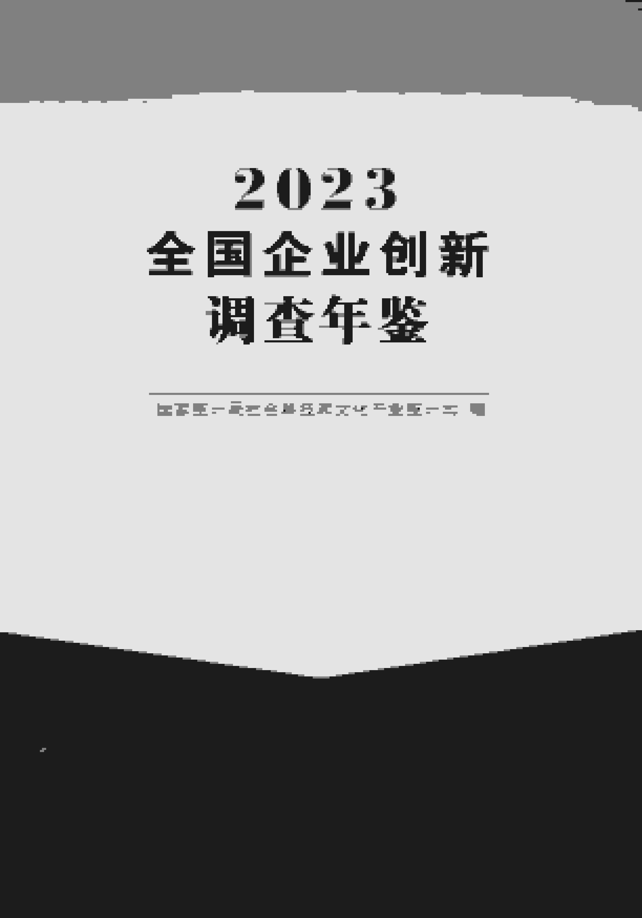 全國(guó)企業(yè)創(chuàng)新調(diào)查年鑒2023